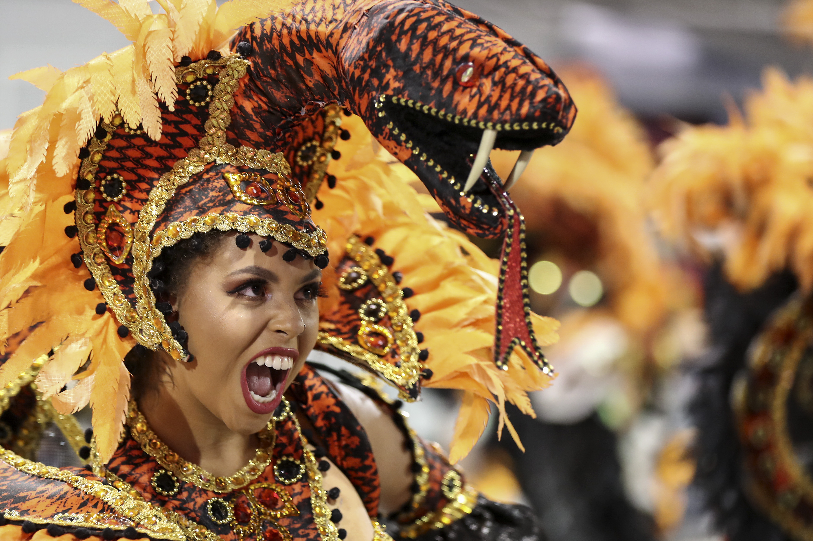 狂欢节上的桑巴舞校表演(2)