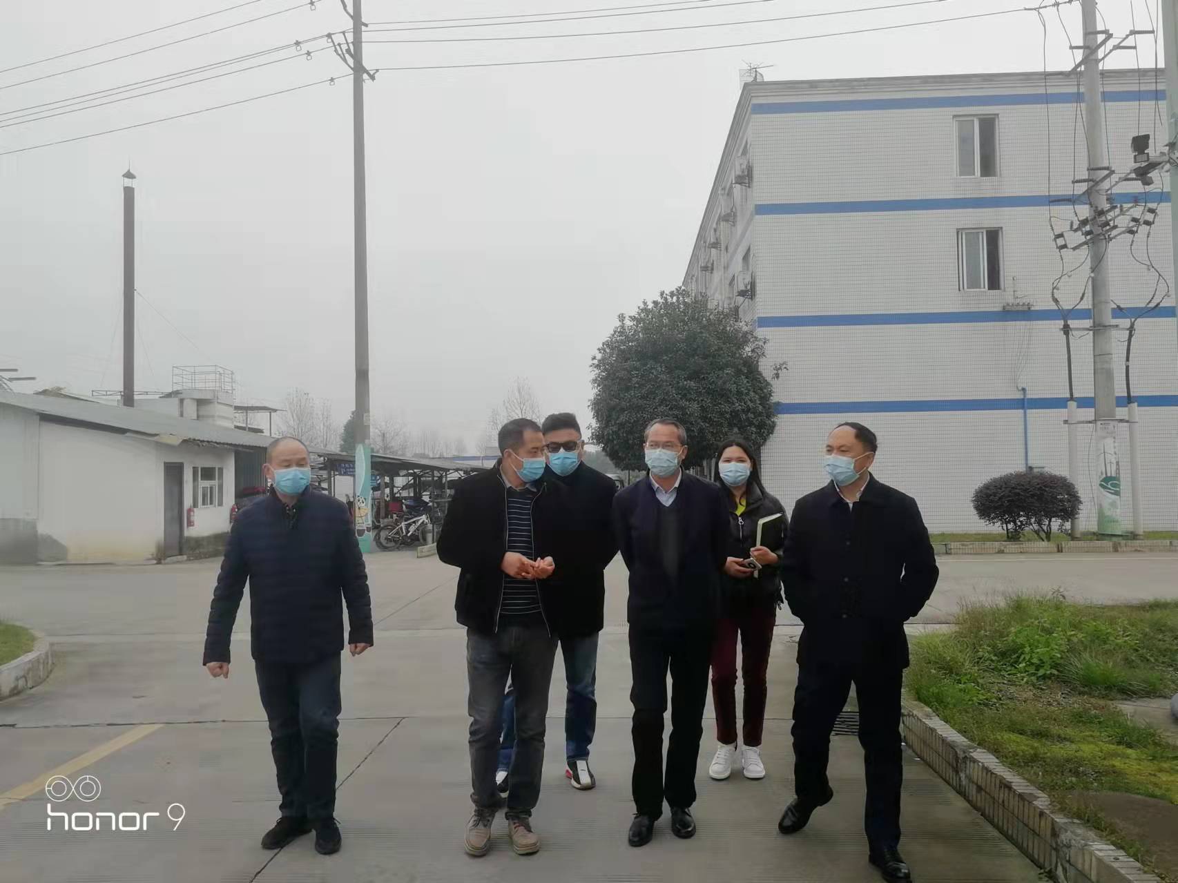 区委常委,统战部部长赵武斌调研食用菌产业发展