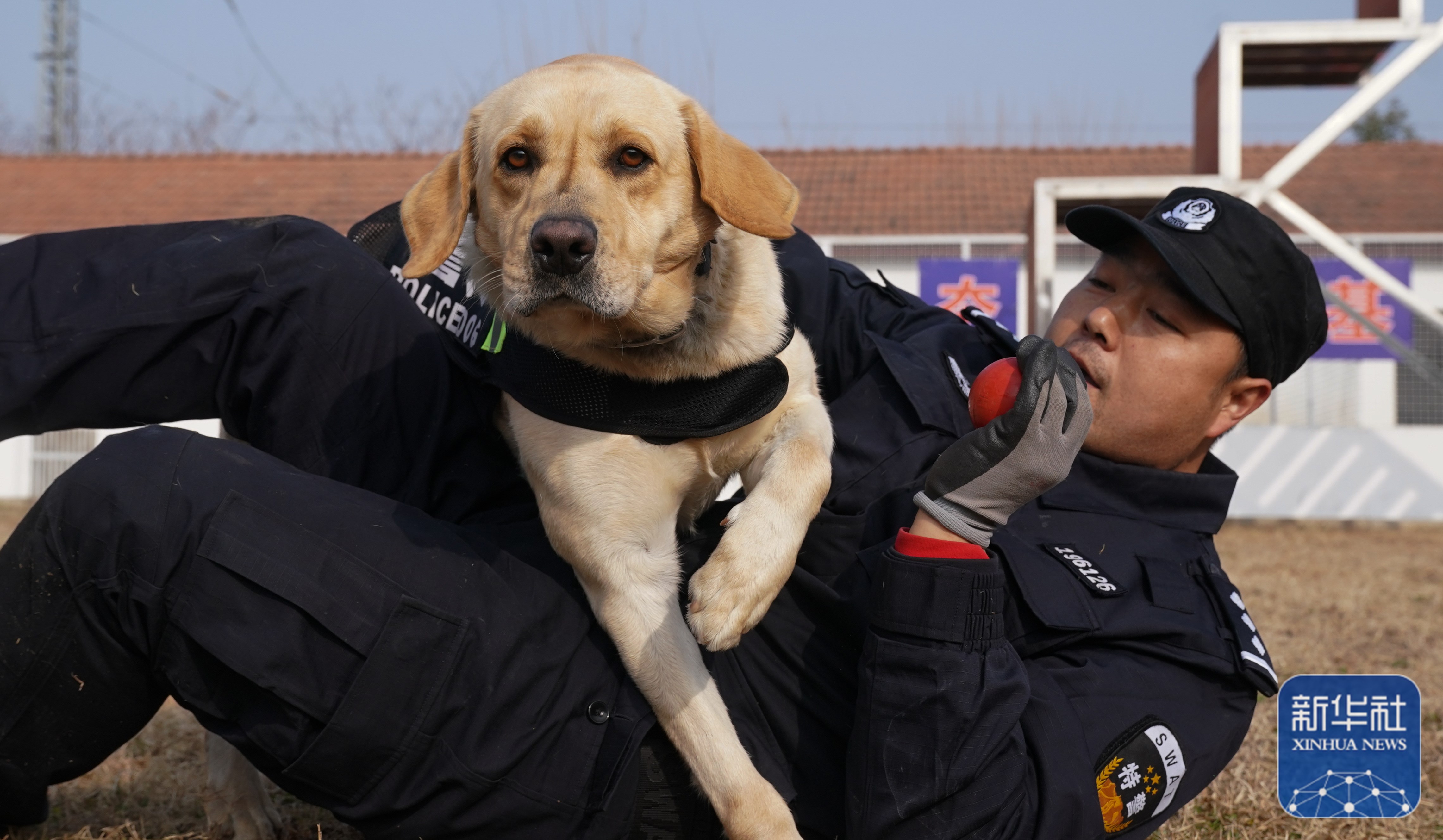 武汉:警犬训练备战春运