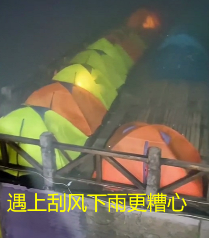 武功山臭虫泛滥,密密麻麻聚集成群,排放的气味奇臭无比