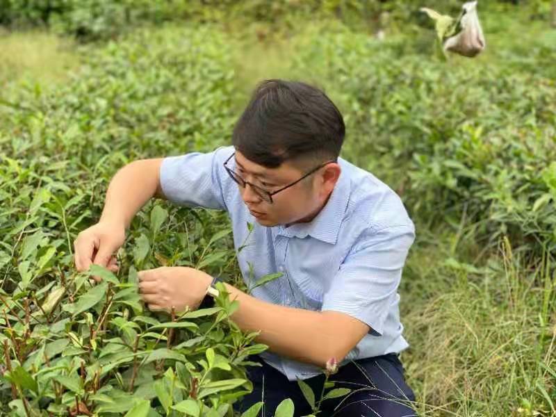 金寨县童维新:大别山深处的"新农民"_中安在线