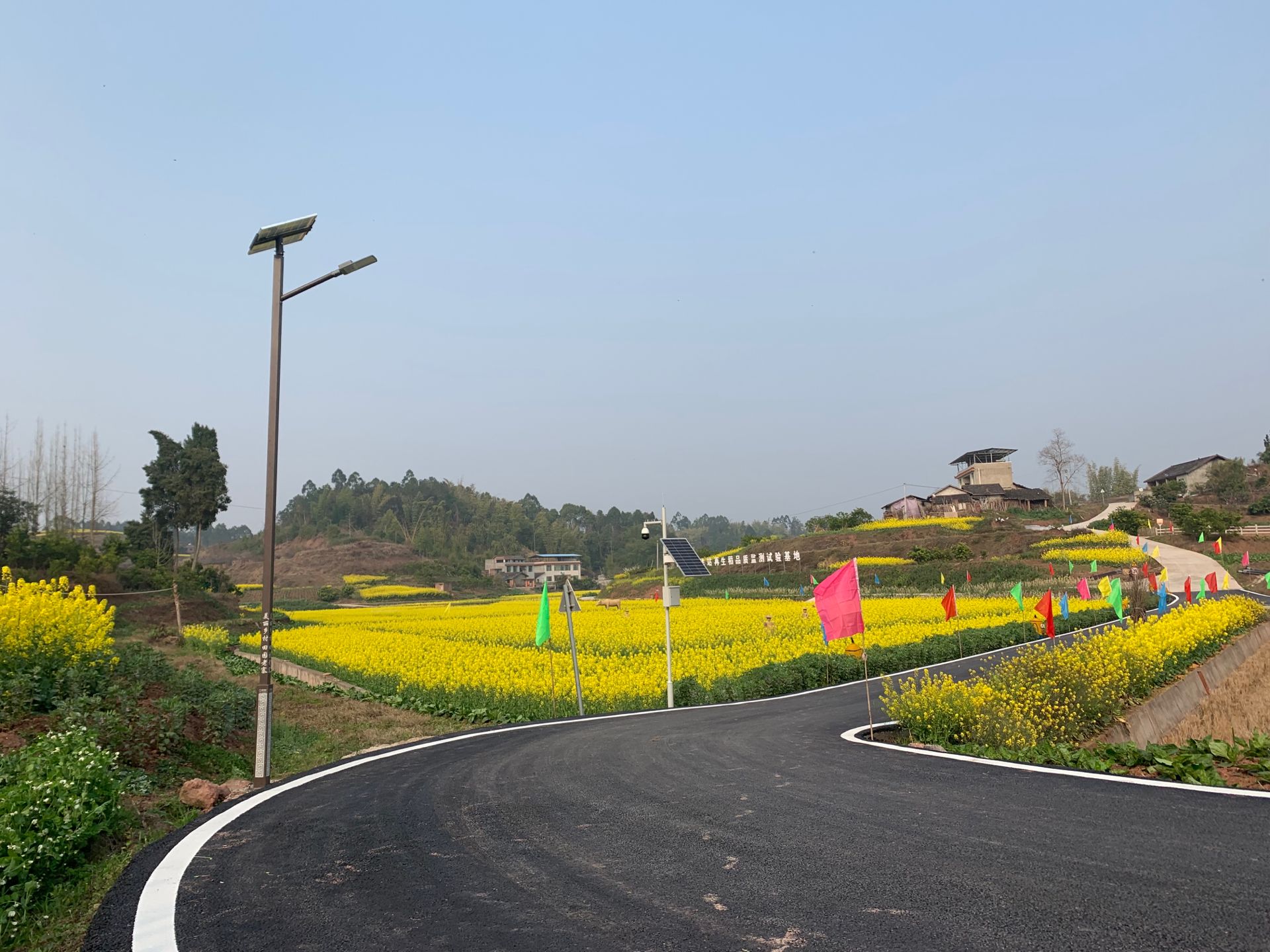 童寺镇老寨村:集体经济"大丰收",群众一起"尝甜头"