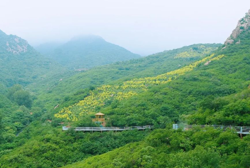 重慶景點推薦,黑山國家森林公園 低音號語音導遊