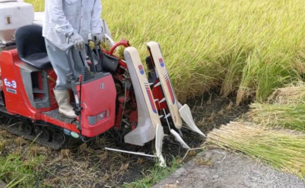 小型的水稻收割机 - 2020年最新商品信息聚合专区 - 百度爱采购