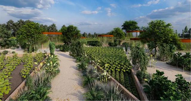 生态农场体验空间效果图.