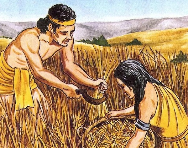 中原远古文化的原始社会阶段中的农作物品种与各种农业生产工具