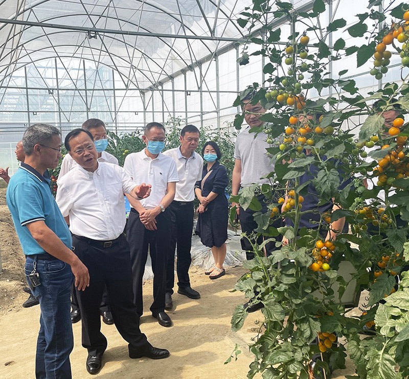 韩春林副主任开展代表建议重点督办暨推进乡村振兴工作调研