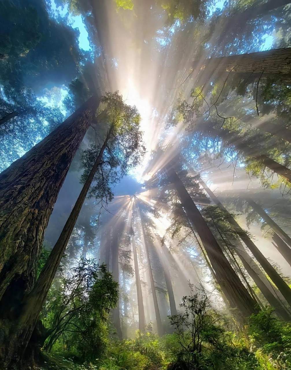 万物皆有裂缝,那是光照进来的地方,好美的日出之光,当丁达尔效应出现