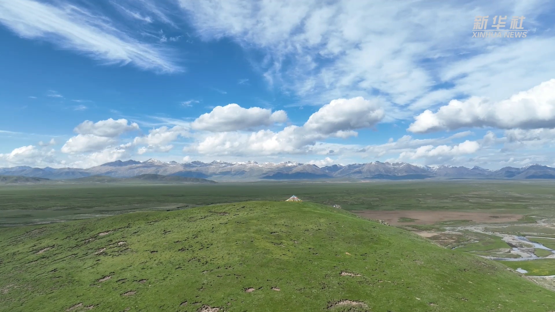 青海贵南:初夏时节绿染高原