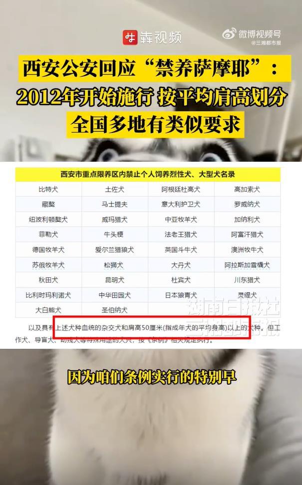 74ddfc8a6d083386a21f711fe33ca60.png