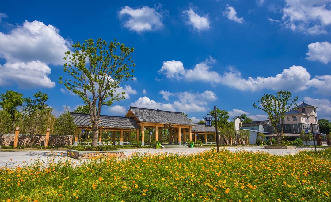 建设现代化主城区 我担当我作为|新塍镇:奋力打造高端精致的新城区