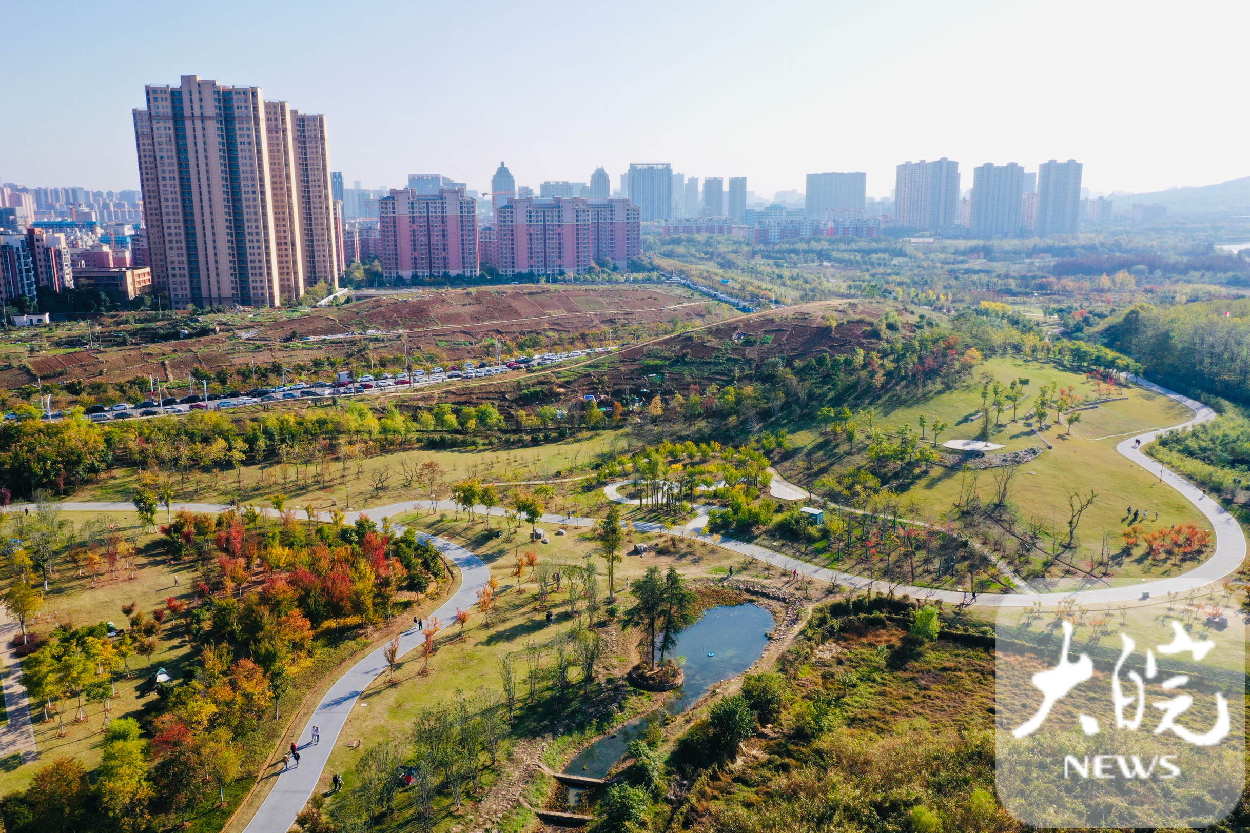 航拍|合肥植物园风景如画 市民搭帐篷游玩