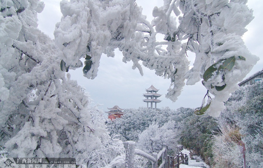 武鸣大明山雾凇图片