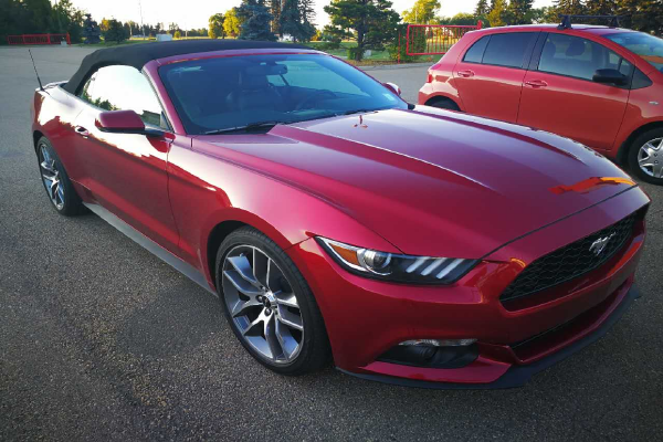 为什么开野马的都卖了