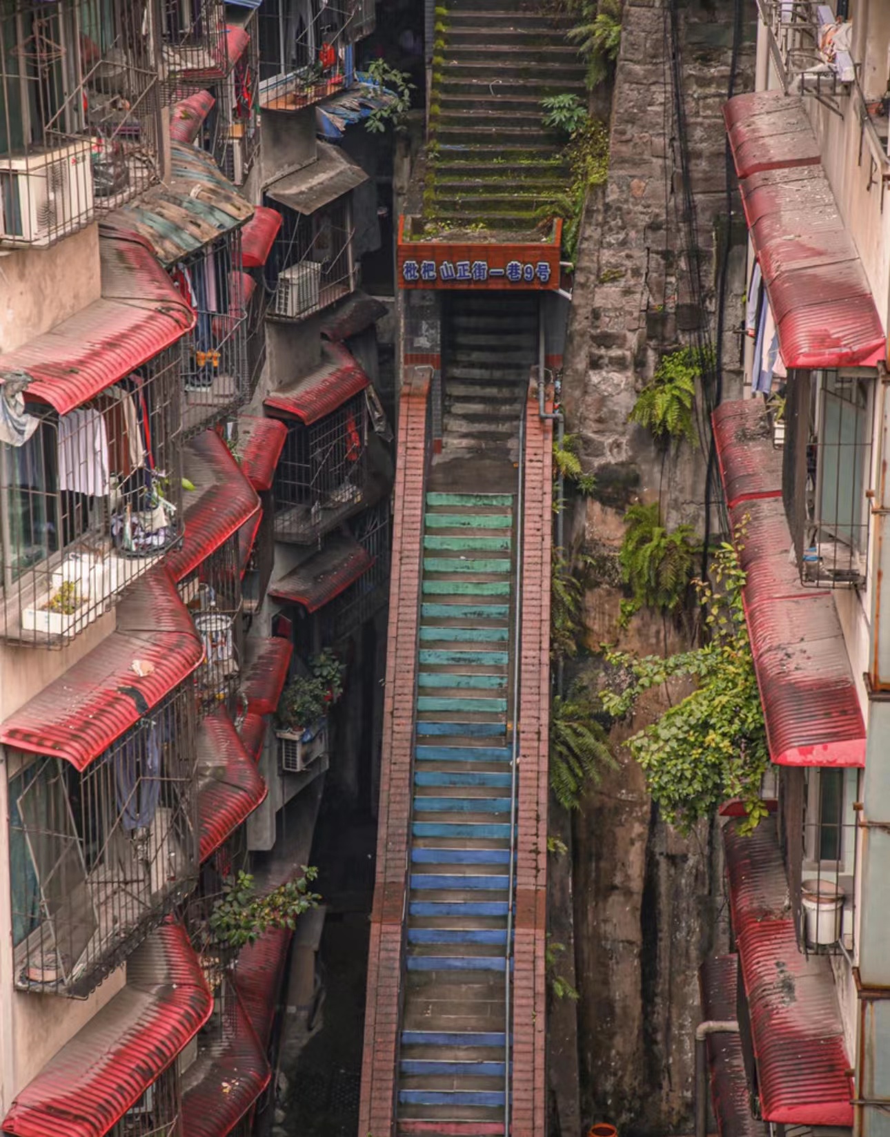 重庆有一处,你一直在寻找的,长长的彩虹天梯