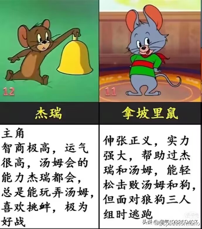 猫和老鼠战斗力排名图片