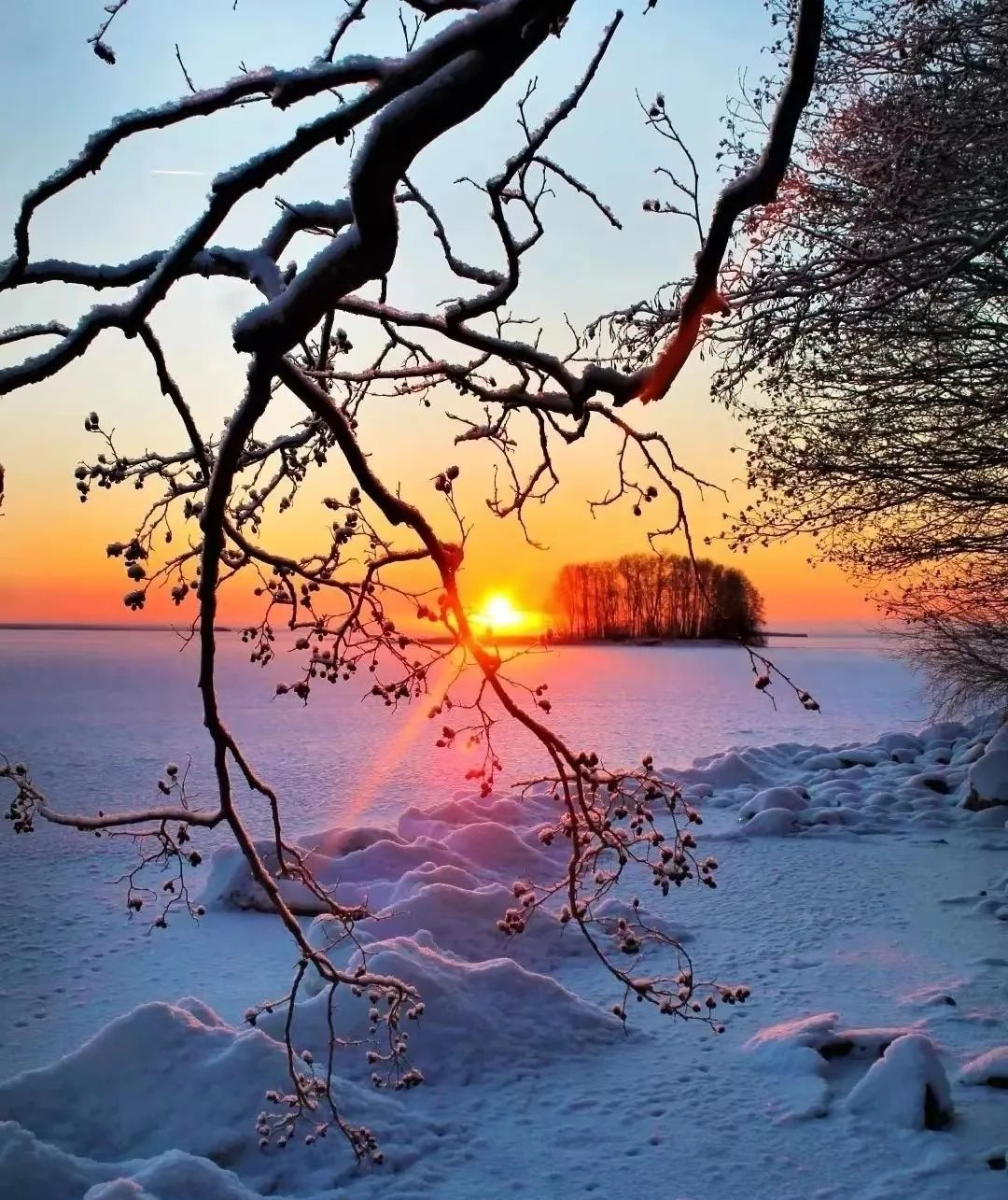 新疆阿勒泰雪景摄影师镜头下的美图,令人陶醉