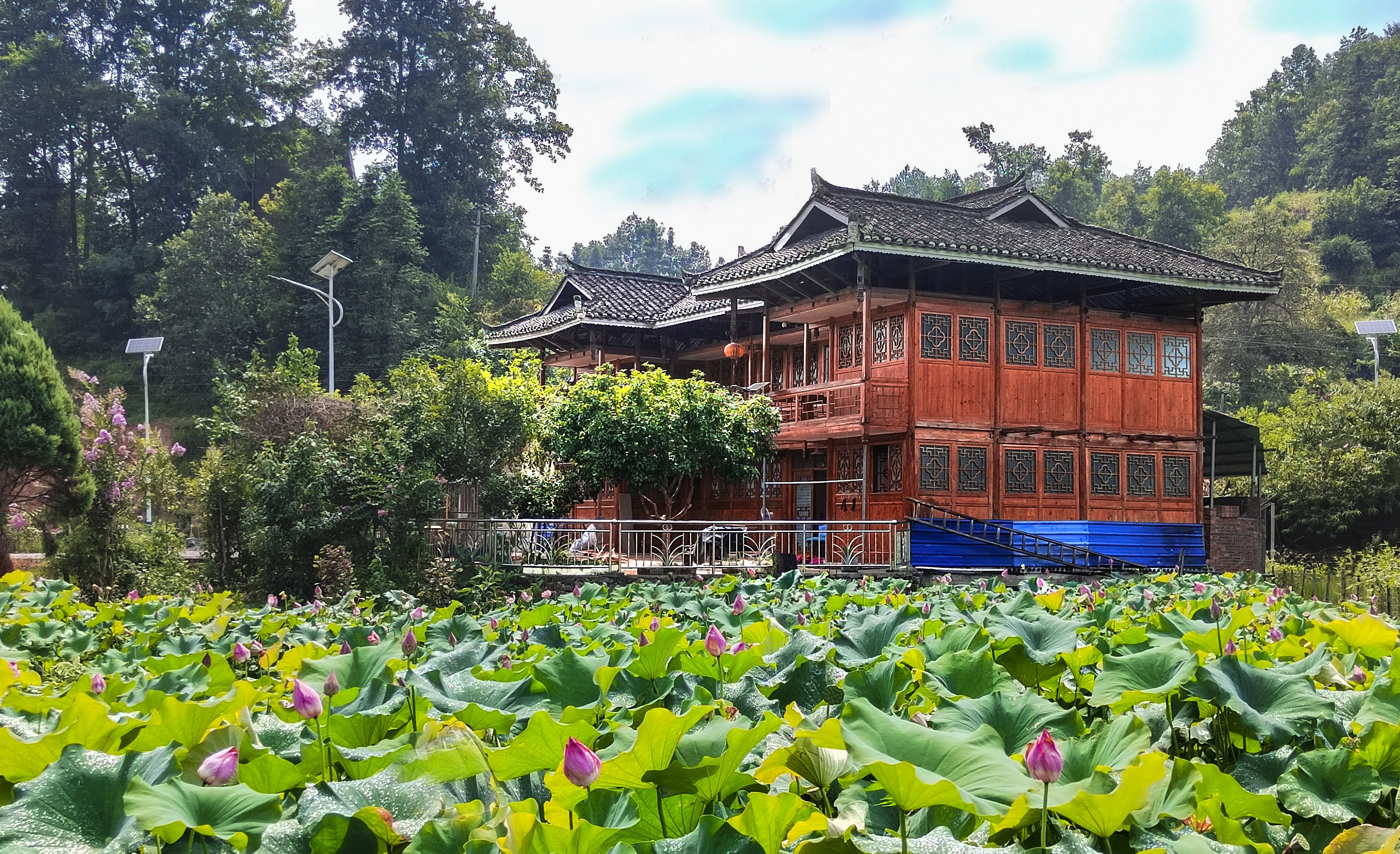 三穗风景图片