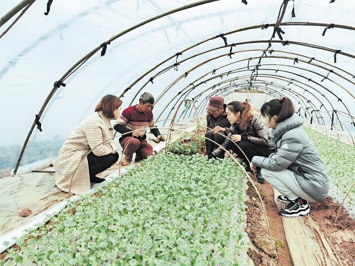 四川省"优秀第一书记"黄燕:巧用"绣花功" 昔日贫困村变身文化扶贫示范