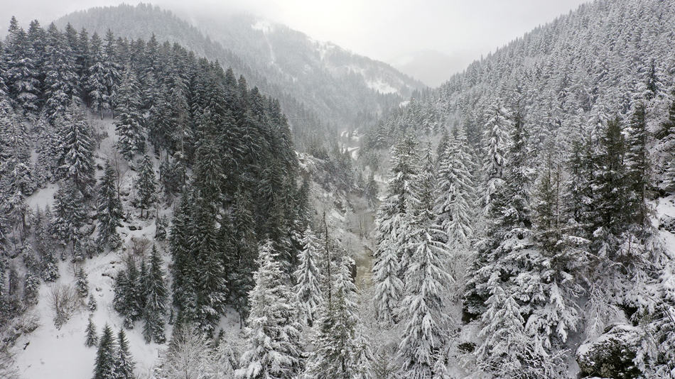 土耳其:鸟瞰被雪覆盖的山林图景