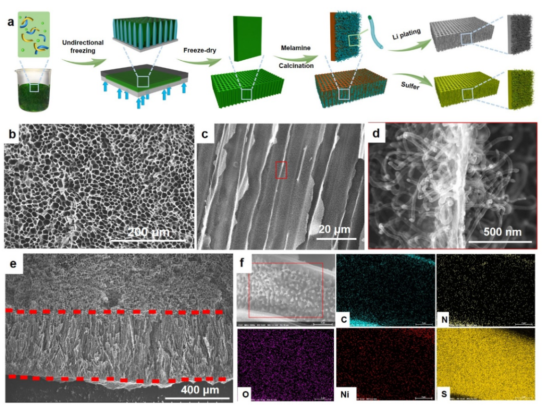 富电子碳骨架的高面硫负载可扩展高性能锂硫电池