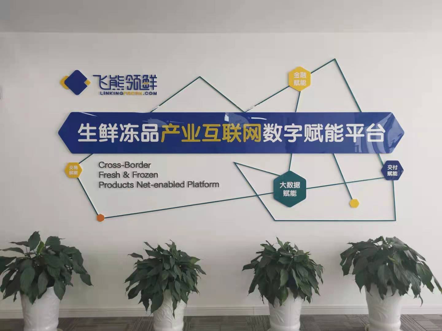 冻品在线集团加盟存在融资骗局吗(冻品在线集团加盟存在融资骗局吗是真的吗)
