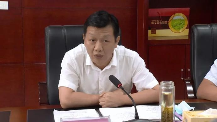 詹才红:聚力推进"六个一"重点工作,做大做强蕲艾大健康产业