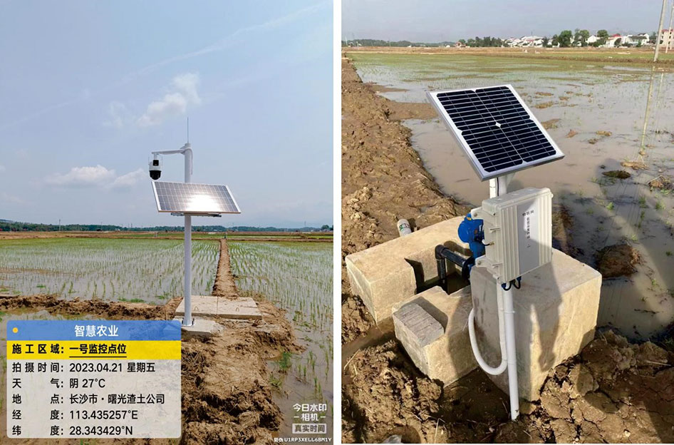 浏阳市沙市镇数字赋能打造智慧耕地示范区