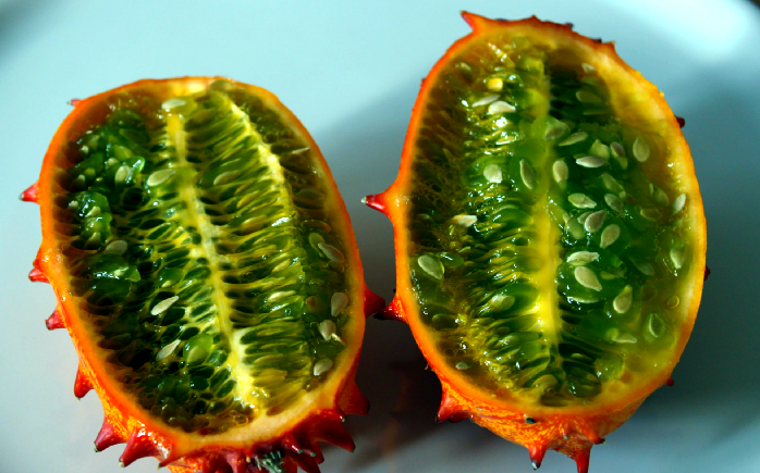 赞比亚的野生果实:从口香糖到酸梅的天然美味