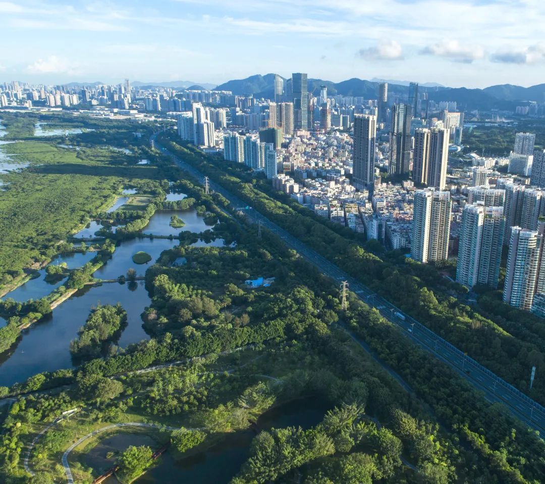 打造城市生态"新名片"!深圳福田红树林湿地入选国际重要湿地名录