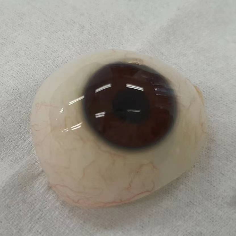 义眼多少钱一只