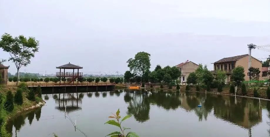 赞!孝南村庄规划入选国家典型案例!