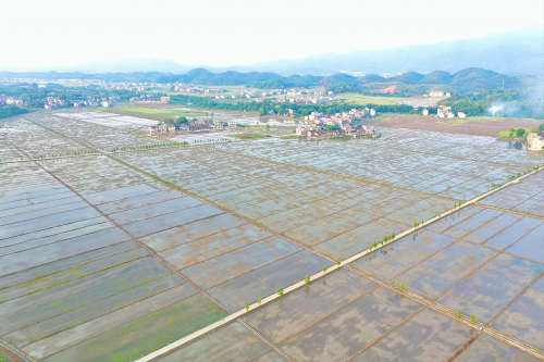 湖南常宁市罗桥镇 多措并举打好粮仓"保卫战"