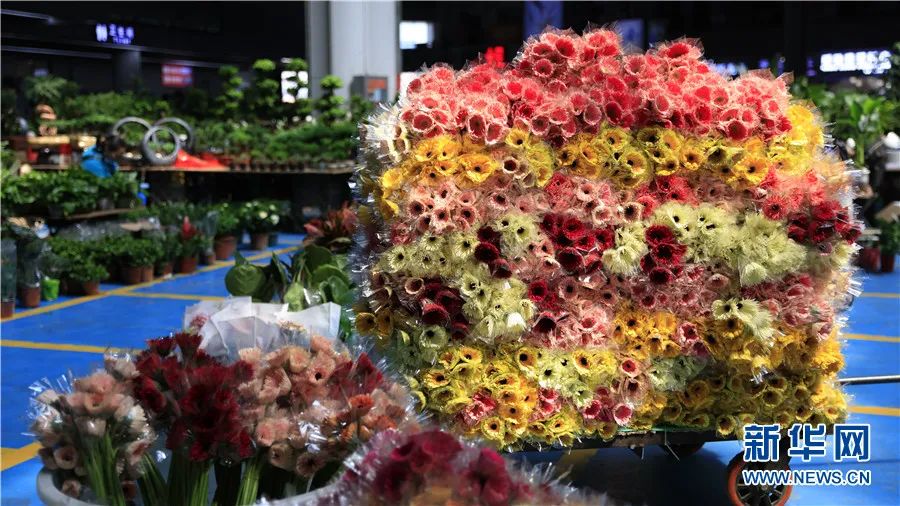 昆明玫瑰花基地在哪里