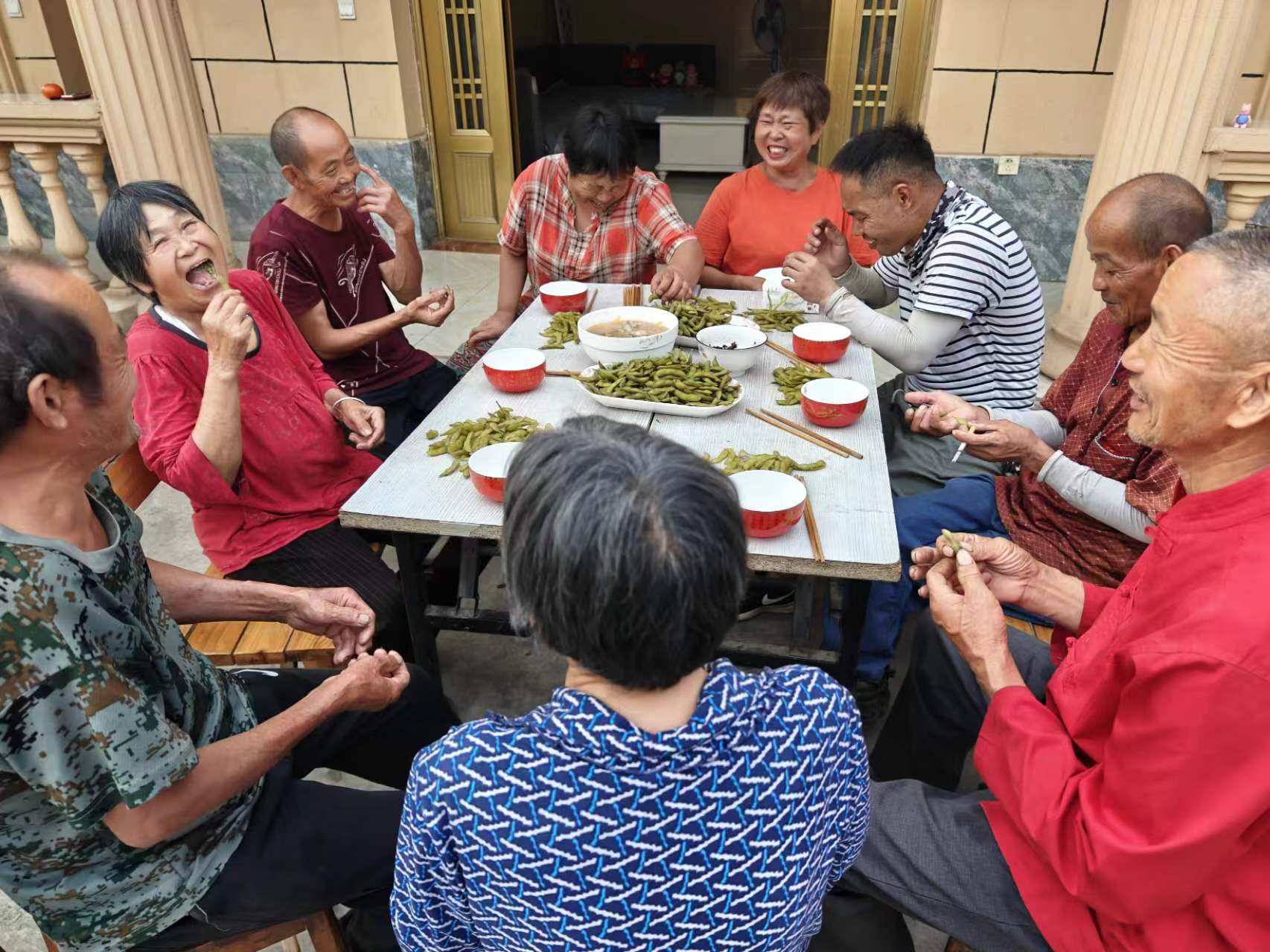 一捧毛豆的不眠夜——四川金堂官仓街道蹲点记