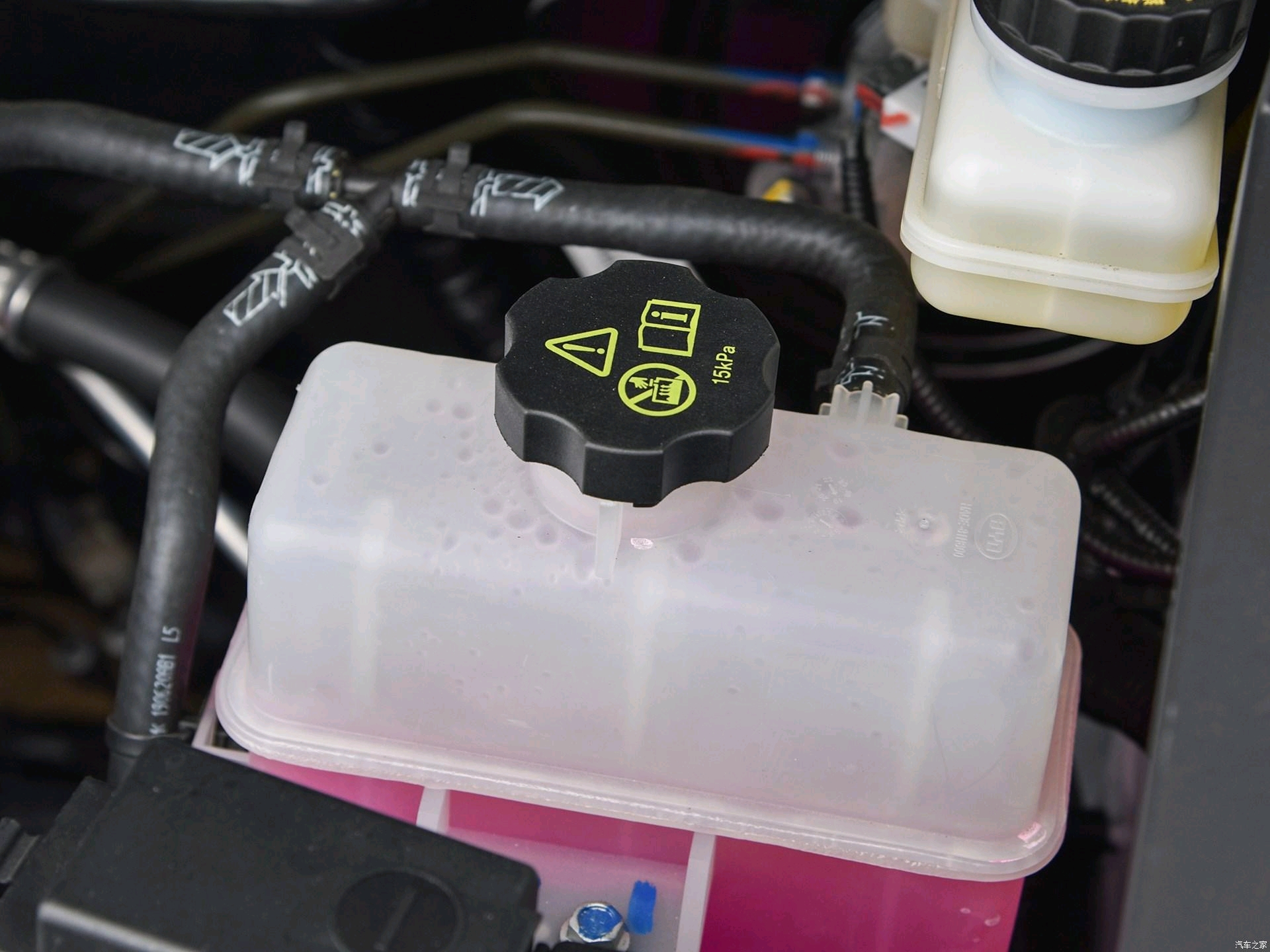 红色防冻液适用车型指南