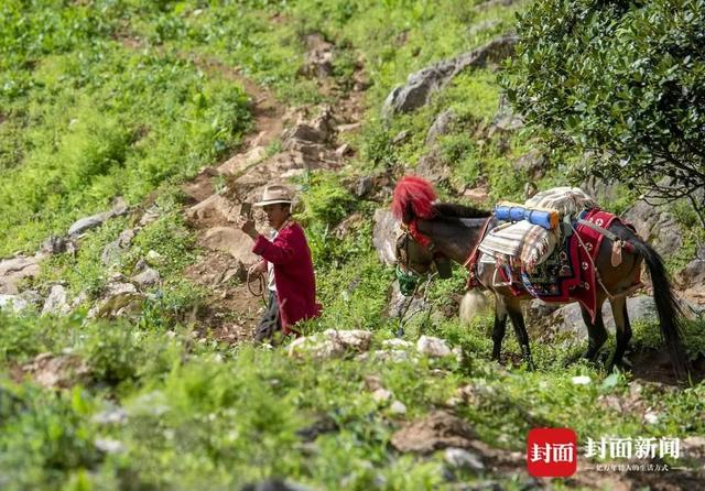 云南摩梭族非遗（云南摩梭族文化特色） 第20张