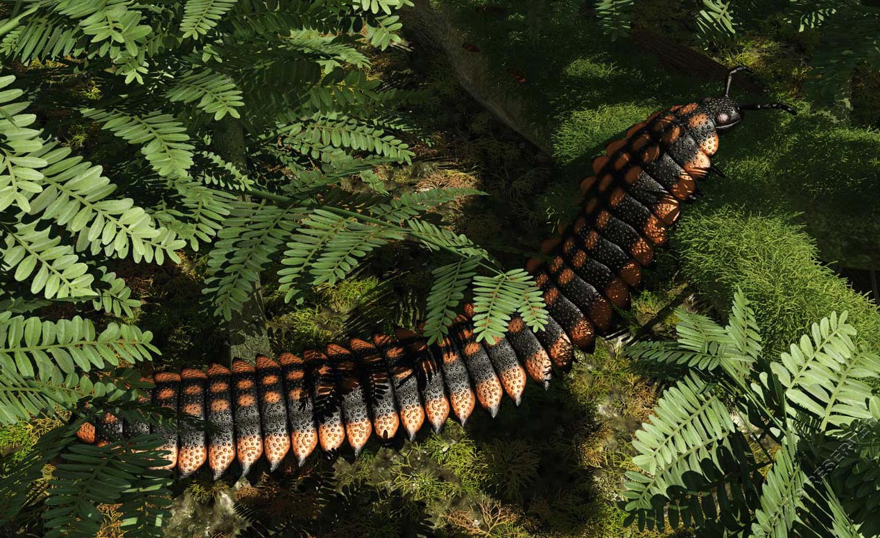 多高的树木能形成8米厚的煤层?煤层的稳定性和倾角是怎么回事?