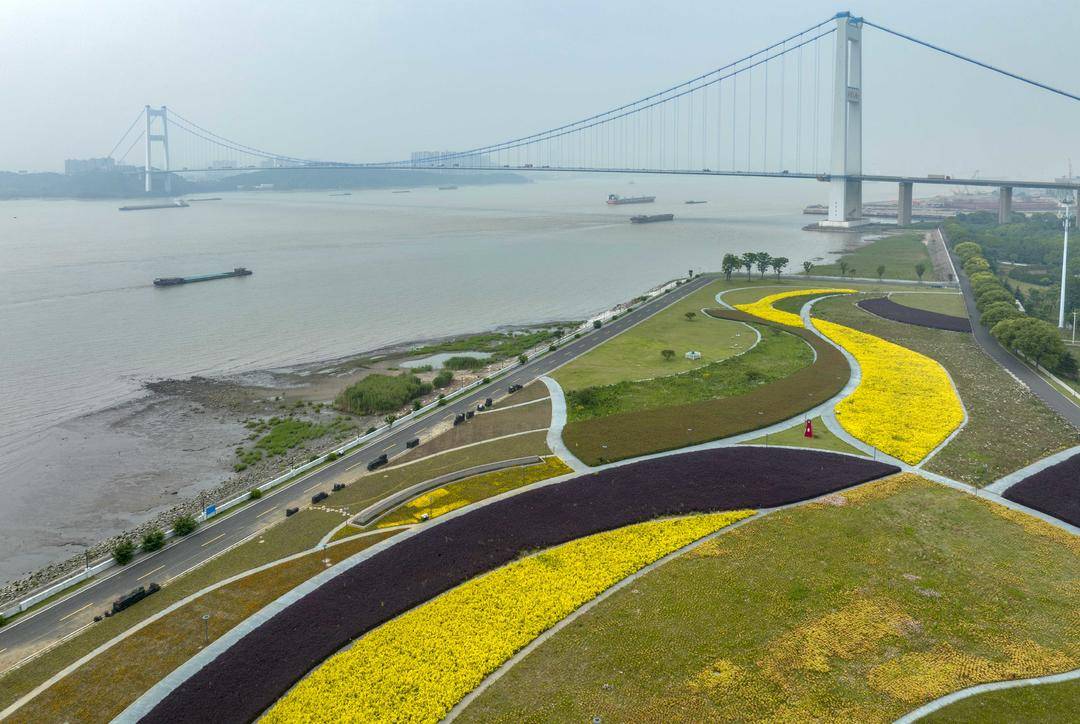 组图|江苏靖江:长江生态美景入画来