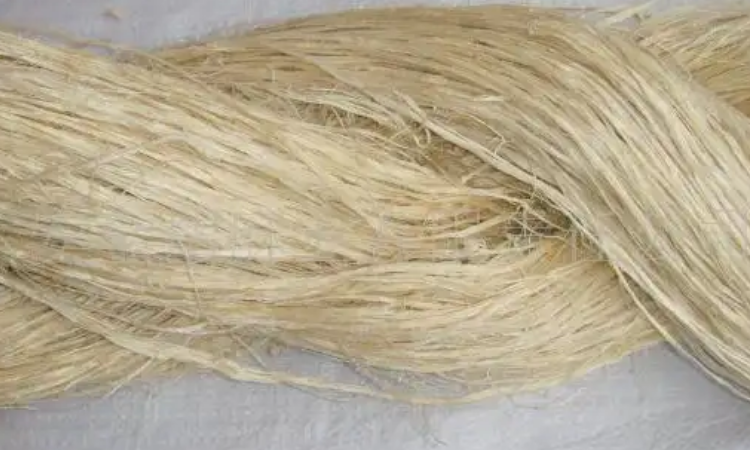 麻的英文缩写是什么