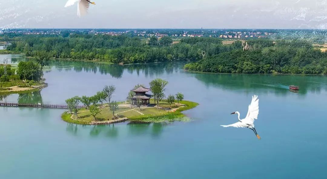 春游江淮一掬西湖水万世千秋情苏轼的颍州西湖缘