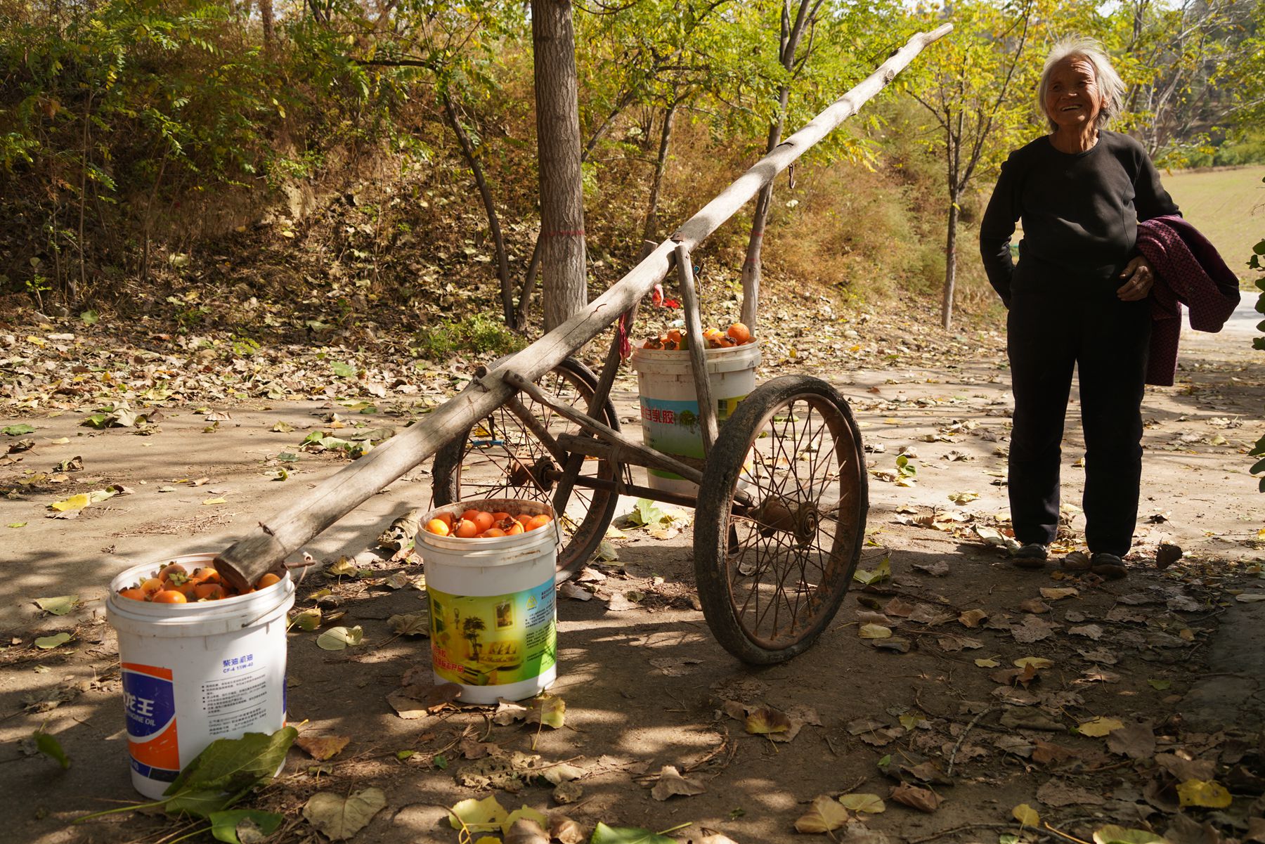 这不最近摄影师就在山西晋南农村看到了这样的一个运输神器"木架车"