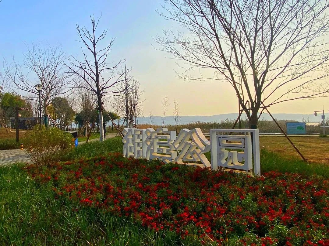 武汉南湖湖滨公园重装开放,观花赏湖乐逍遥