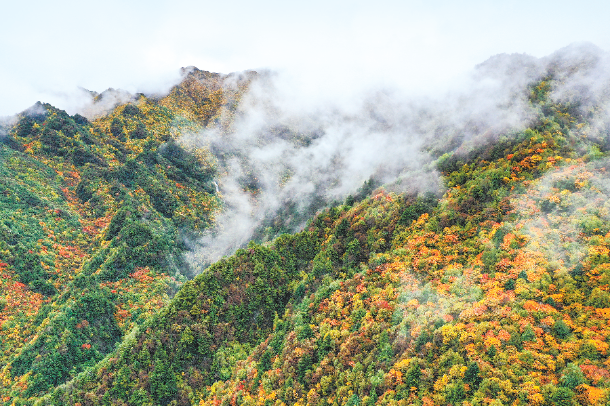 大墩峡风景区风景图片