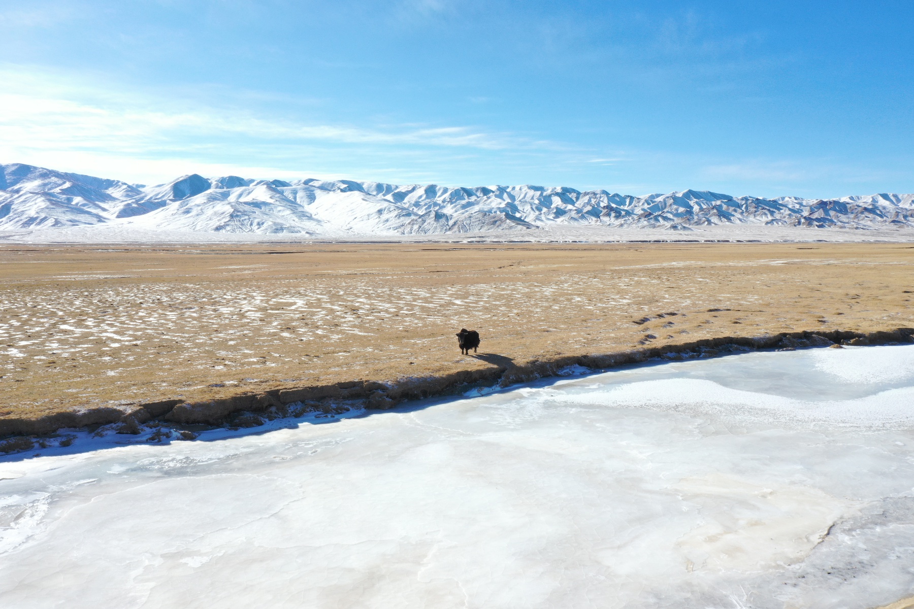 阿克塞哈尔腾高原冬至雪景美如画