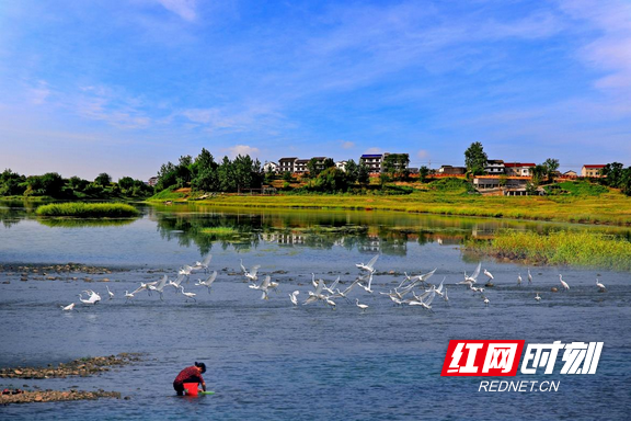 彭武学:用活"天然氧吧"金招牌 打造绿色发展增长极