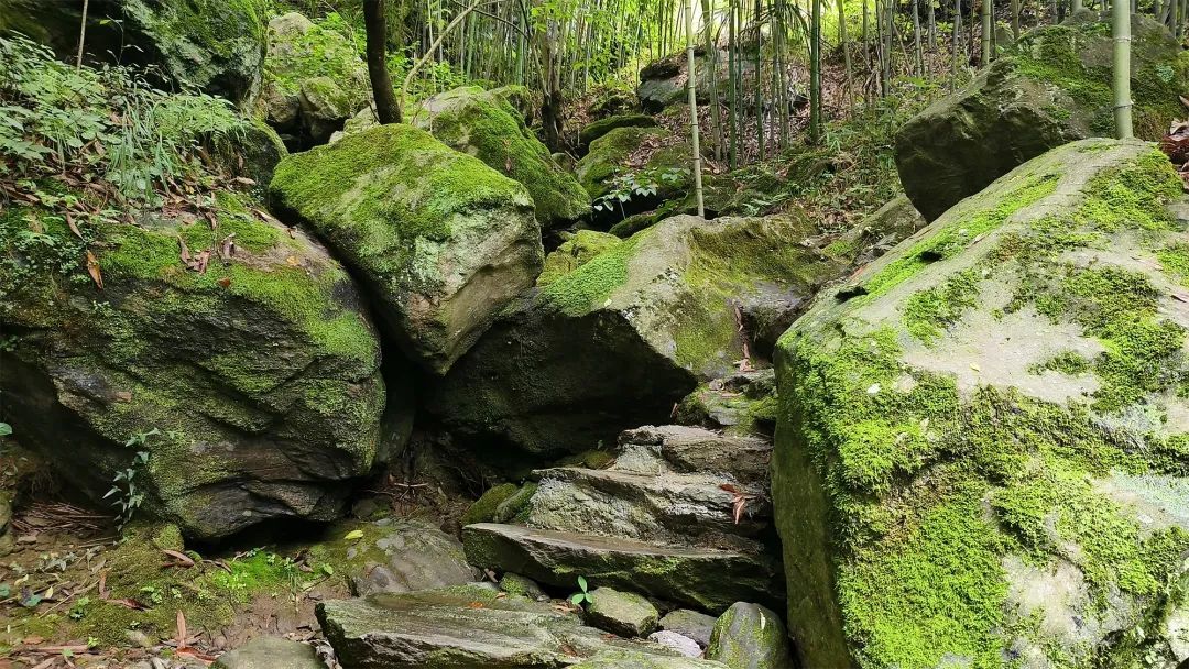 陕南平利芍药谷,听溪,纳凉好去处