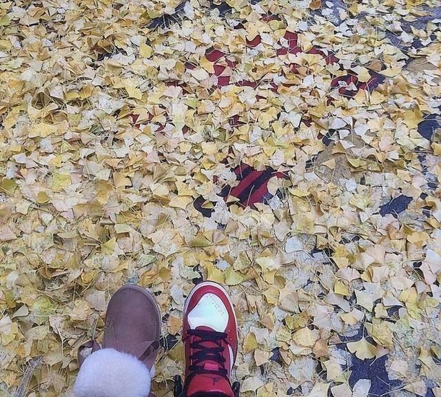 从默默无闻到坚实陪伴,任嘉伦与聂欢的心灵奇遇