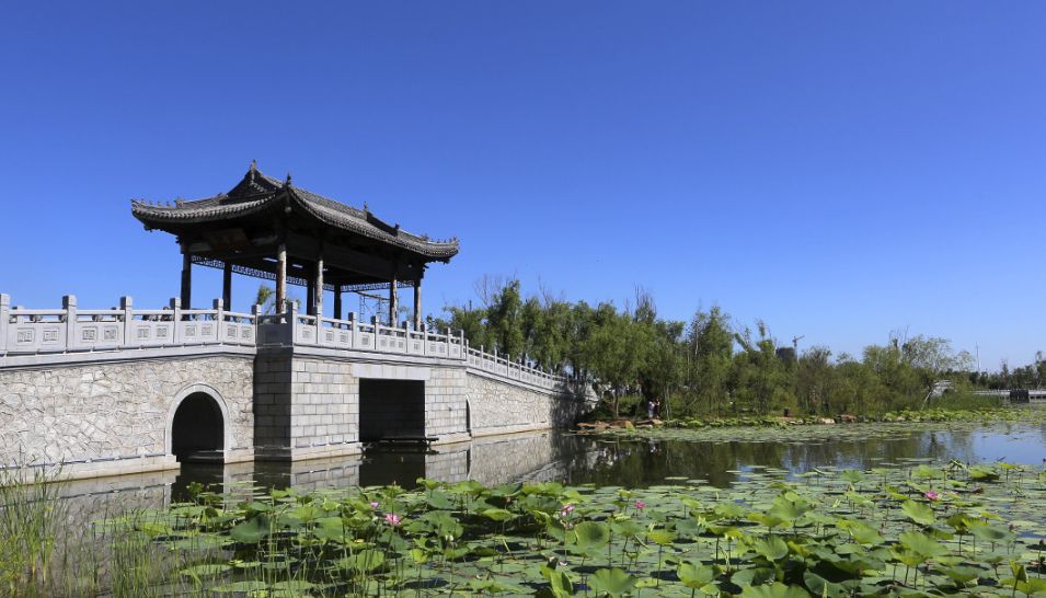 长春北湖国家湿地公园寻觅城市绿洲感受大自然的魅力