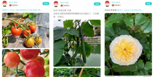 soul创始人张璐为新一代喝彩,返乡创业者展现乡土情怀与梦想追求